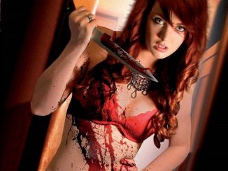 Bloody Mary 3D (2011) 480p Blu-Ray x264 [Dual Audio] [Hindi – English] – 250 MB