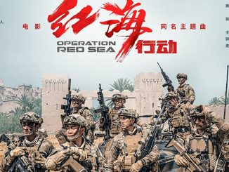 Operation Red Sea (2018) 720p HEVC BluRay Dual Audio [Hindi-Chi] x265 650MB