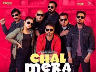 Chal Mera Putt (2019) Punjabi 720p HEVC WEB-HDRip x265 AAC DD 2.0 Esubs – 600 MB