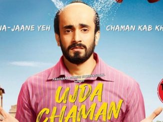 Ujda Chaman (2019) Hindi 720p HEVC WEB-HDRip x265 AAC DD 2.0 Esubs – 600 MB
