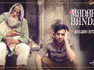 Gulabo Sitabo (2020) Hindi 720p HEVC WEB-HDRip x265 AAC DD 2.0 Esubs – 700 MB