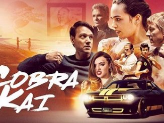 Cobra Kai (2019) [Season 2] 720p HEVC WEB-HDRip x265 Esubs [Dual Audio] [Hindi ORG – English] [EP 1 TO 10 ADDED]