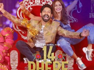 14 Phere (2021) Hindi 720p HEVC WEB-HDRip x265 AAC DD 2.0 Esubs – 550 MB