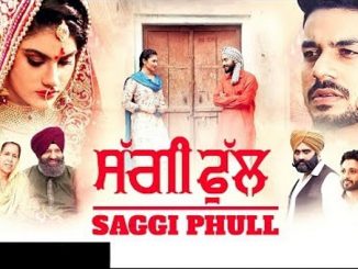 Saggi Phull (2018) Punjabi 1080p | 720p | 480p WEB-HDRip x264 AAC DD 2.0 ESubs – 1.9 GB | 1.1 GB | 350 MB