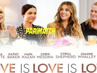 Love Is Love Is Love (2020) Hindi (Voice Over)-English 720p WEB-HD x264