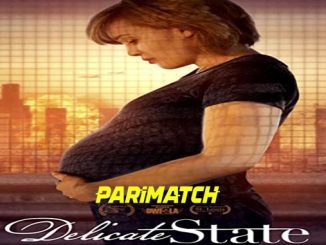 Delicate State (2021) Hindi (Voice Over)-English 720p WEB-HD x264