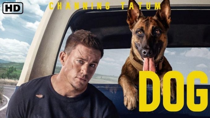 Dog full movie download