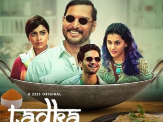 Tadka (2022) Hindi 720p HEVC WEB-HDRip x264 AAC DD 2.0 Esubs – 550 MB